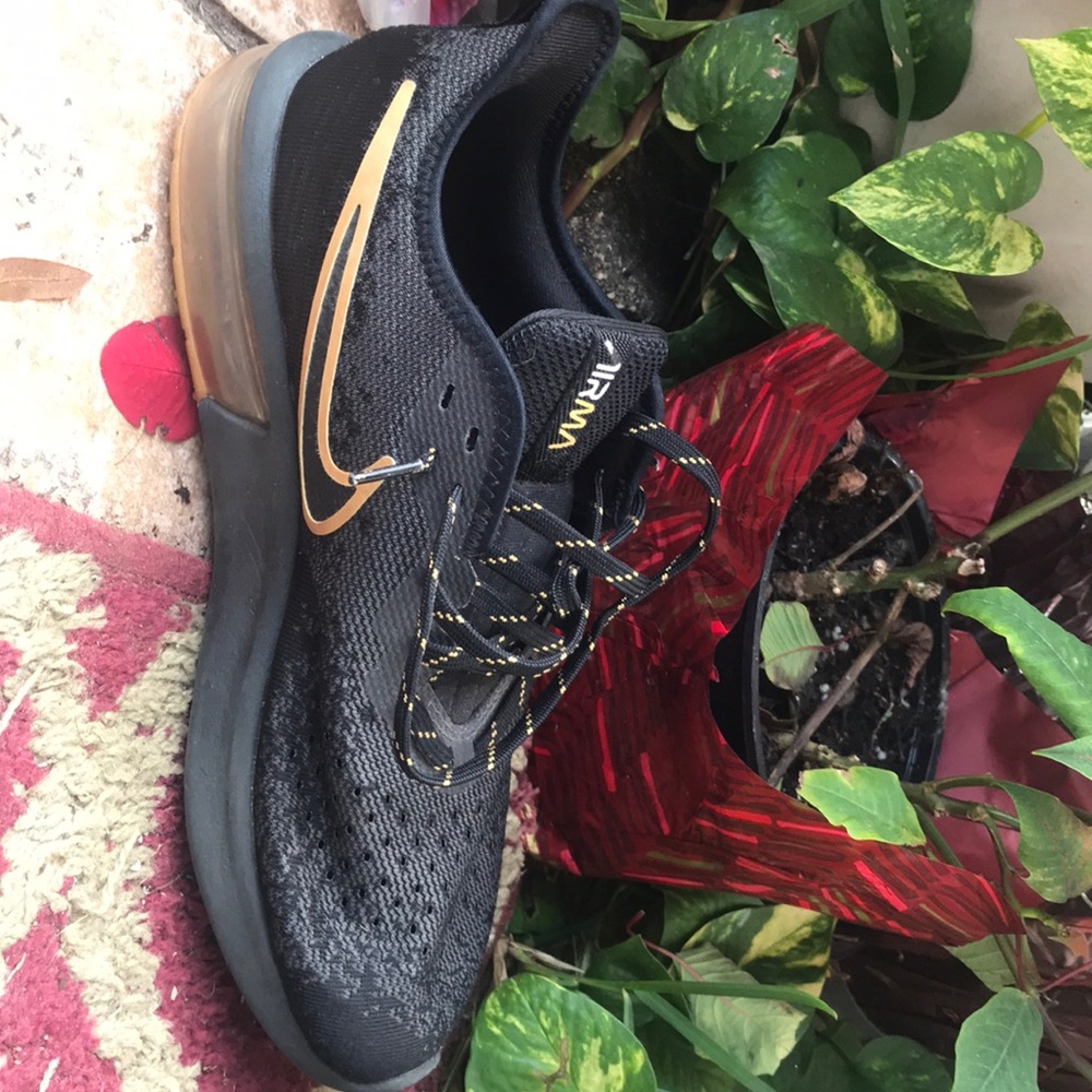 Nike Air Max Shoes